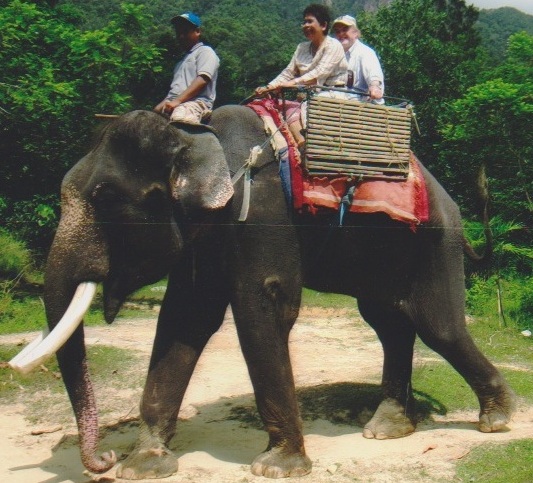 Norlia on an Elephant