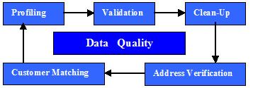 The Data Quality Cycle