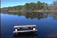 Picnic Table in the Lake