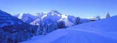 Ski tracks in Villars, Switzerland
